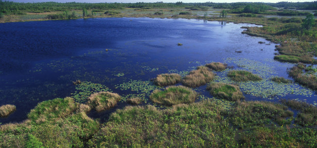 Okefenokee National Wildlife Refuge TheRealPlaces   Okefenokee NWR Slideshow 